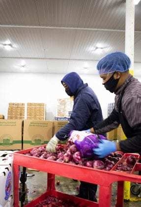 The Common Market1 Scaled 287X420