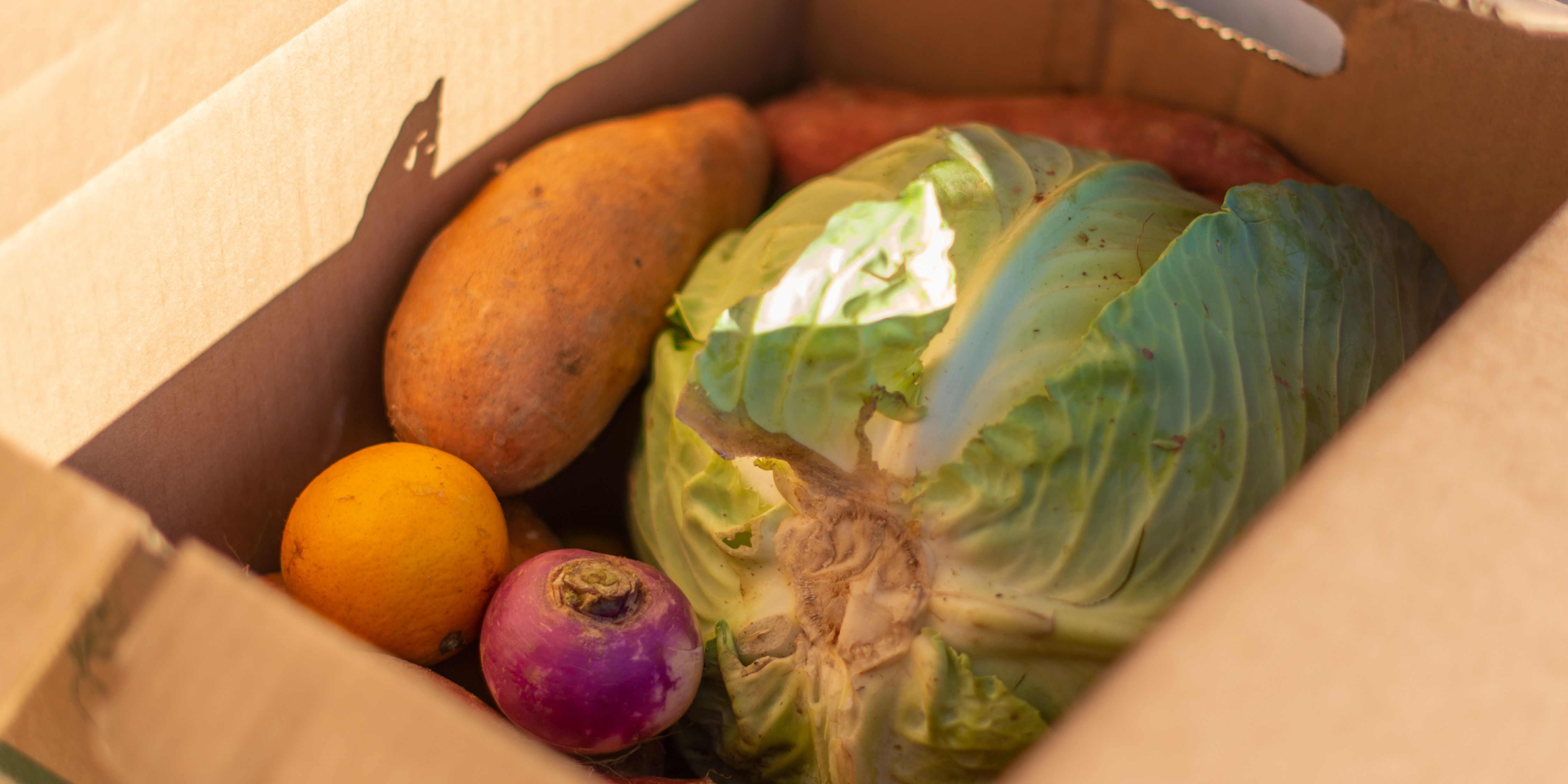 The Common Market The FarmFresh Box Program