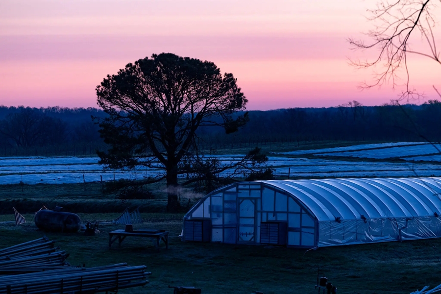 Flamm Orchard Nyt Article