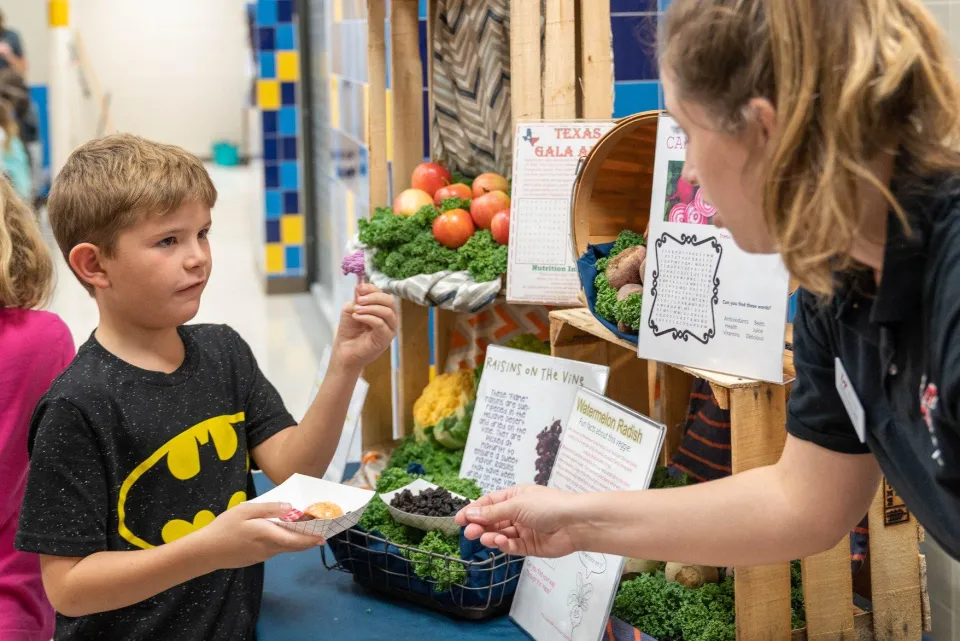 Lake Travis Isd Taste Test