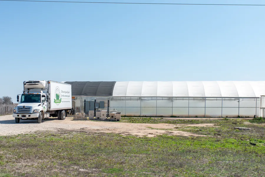 Lone Star Lettuce 47 1 Copy