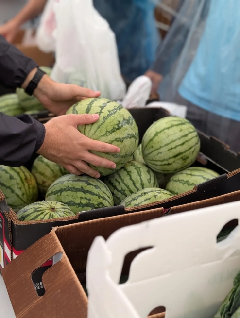 Personal Watermelon Case