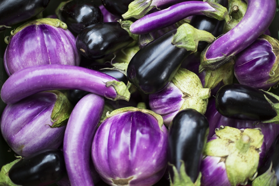 Canewater Farm Eggplant