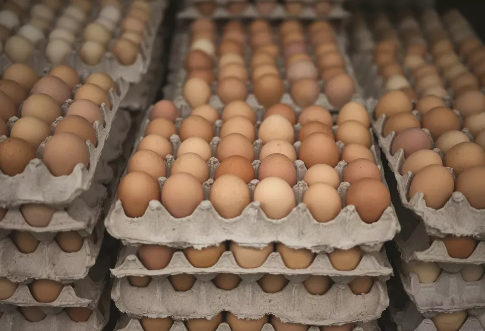 Gravel Ridge Farms Eggs