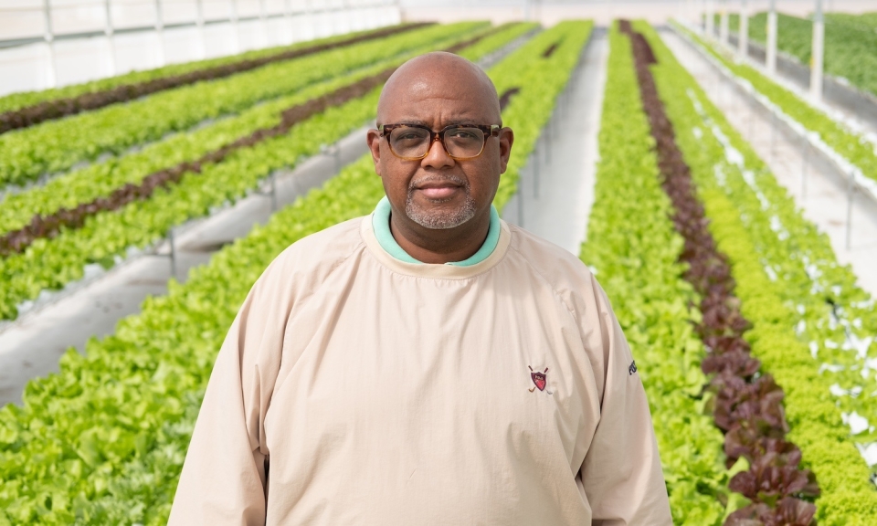 The Common Market Farm To Institution Forward Commitments Small Farmers