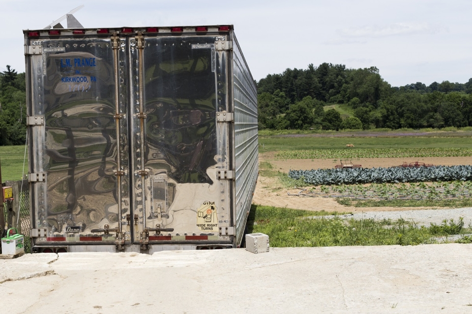 Broccolicoolingsystem Web 47