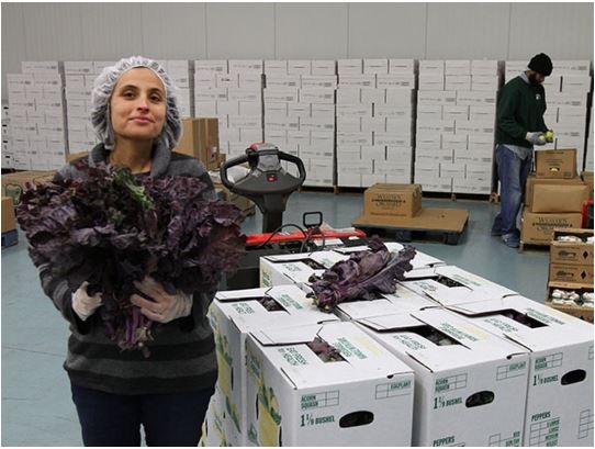 Philly Inquirer 2015