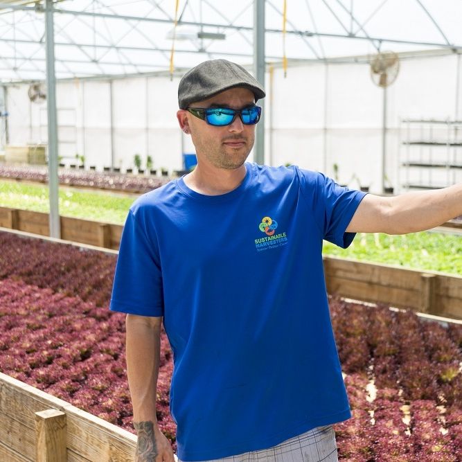 Sustainable Harvesters