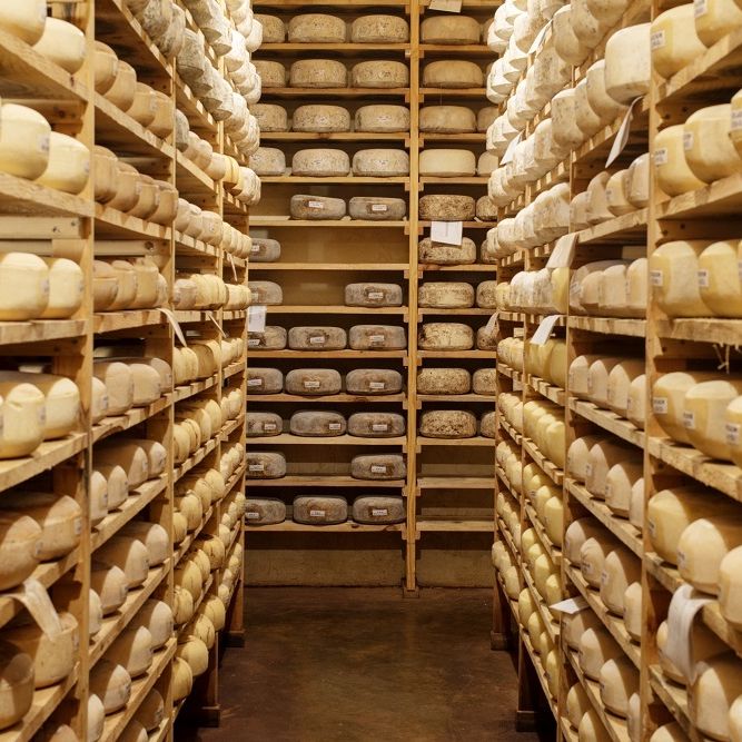Brazos Valley Cheese Cheese Cave5 Small