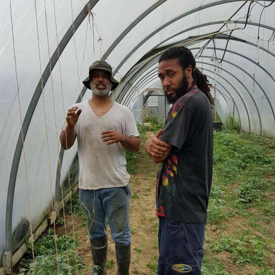Local Lands Farming3