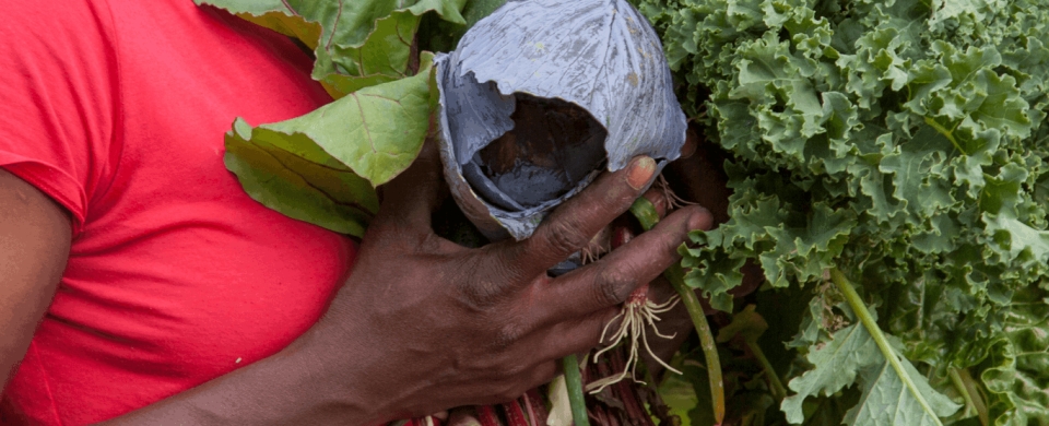 Farmer Analysis 1367 X 554