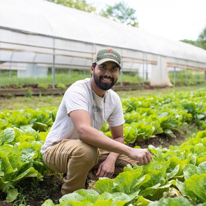 Common Market Snapfinger Farm 38 Small