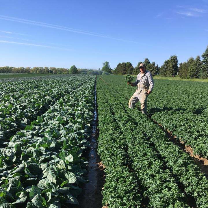 Marolda Farms Fields